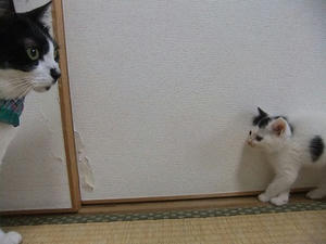DSCF5540.JPG