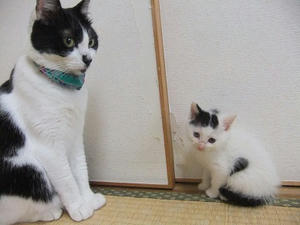 DSCF5543.JPG