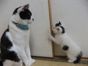 DSCF5544.JPG