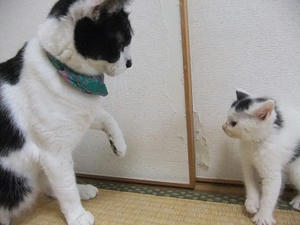 DSCF5545.JPG