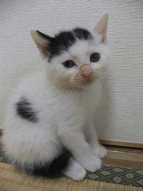 DSCF5553.JPG