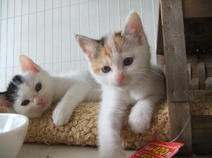 DSCF5570.JPG