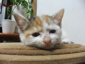 DSCF5587.JPG