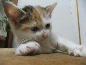 DSCF5588.JPG