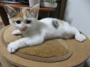 DSCF5590.JPG