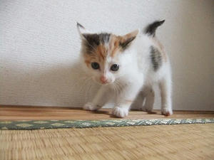 DSCF5575.JPG