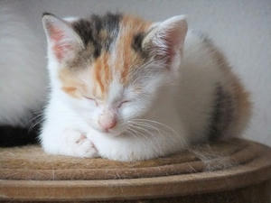 DSCF5615.JPG