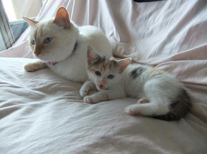 DSCF5663.JPG