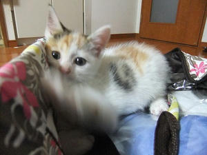 DSCF5669.JPG