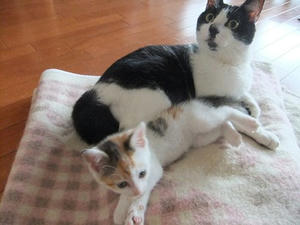 DSCF5677.JPG