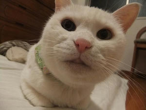 DSCF5678.JPG
