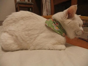 DSCF5679.JPG