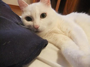 DSCF5060.JPG