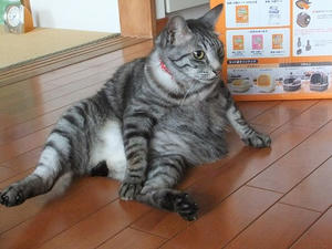 DSCF5315.JPG