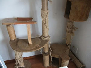 DSCF5580.JPG