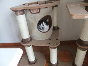 DSCF5581.JPG