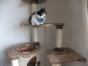 DSCF5583.JPG