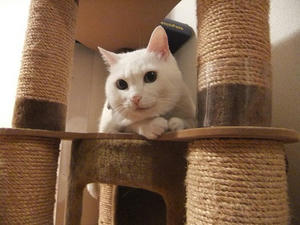 DSCF5718.JPG