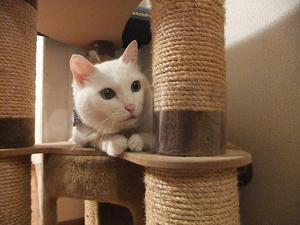 DSCF5719.JPG