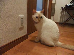 DSCF5721.JPG