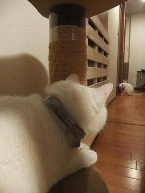 DSCF5723.JPG