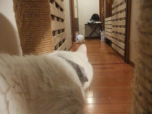 DSCF5725.JPG