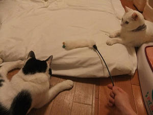 DSCF5736.JPG