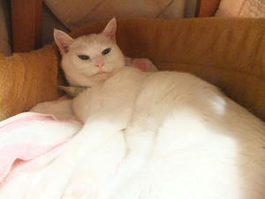 DSCF5750.JPG