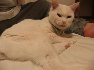DSCF5752.JPG
