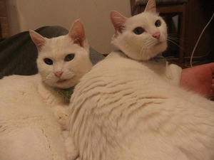DSCF5753.JPG