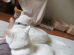 DSCF5704.JPG