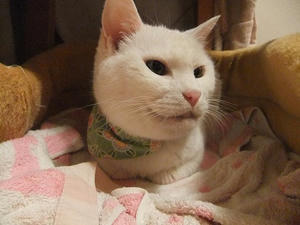 DSCF5688.JPG