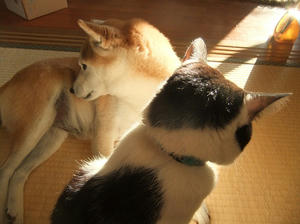 DSCF4746.JPG