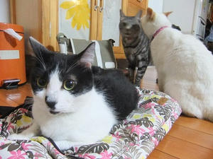 DSCF5234.JPG