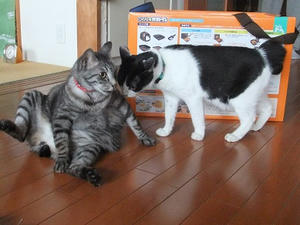 DSCF5314.JPG