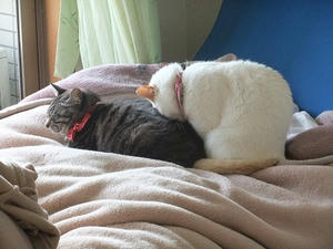 DSCF4898.JPG