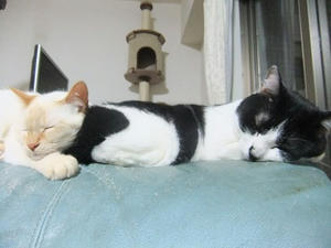 DSCF5601.JPG
