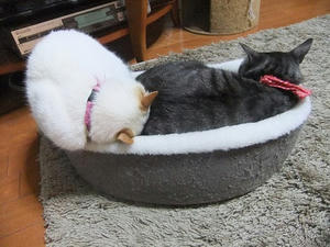 DSCF5716.JPG