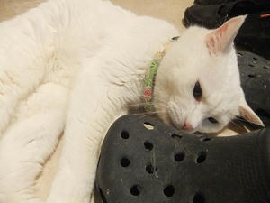 DSCF5712.JPG