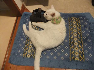 DSCF5786.JPG