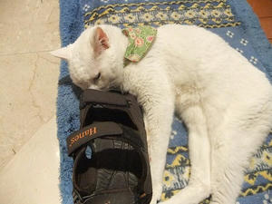 DSCF5788.JPG