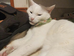 DSCF5791.JPG
