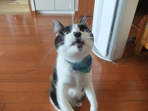 DSCF4915.JPG