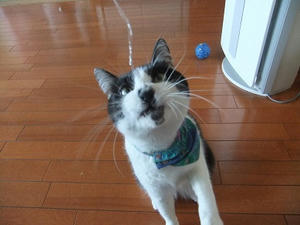 DSCF4918.JPG