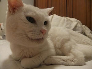 DSCF5682.JPG