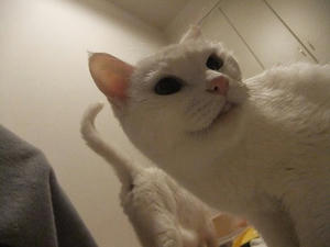 DSCF5467.JPG