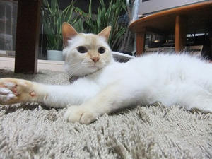 DSCF5711.JPG