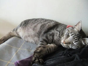 DSCF5802.JPG