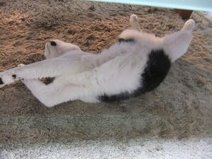 DSCF5796.JPG