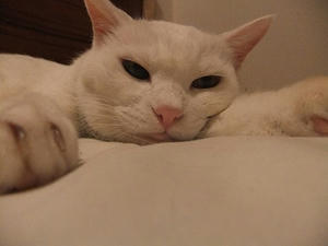 DSCF5759.JPG